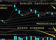 8月15日收盘白糖期货资金流出6558.83万元