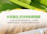 汤臣倍健：公司蛋白粉原料中大豆分离蛋白提取自非转基因大豆