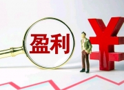 广农糖业披露4笔对外担保，被担保公司达4家