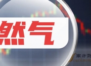 利尔化学：公司6月末股东情况请见公司2024年中报相关信息