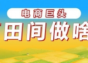 第七个中国农民丰收节开幕，拼多多消费惠农、科技助农系列成果引热议