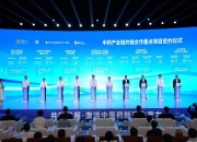 强化创新引领 培育发展动能——专家共话科技助力新质生产力发展