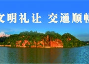 人保车险,拥有“如意行”驾乘险，出行更顺畅！_2024膏药市场现状、前景趋势研究分析