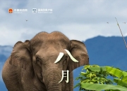 国庆加班开户、7天20多场沙龙！两融开户也暴增，谁在抢开户？