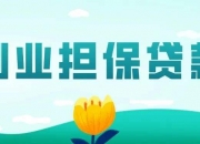 三安光电披露3笔对外担保，被担保公司达3家