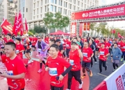 2024香油行业市场发展现状及供需格局、竞争格局分析_人保车险,人保伴您前行
