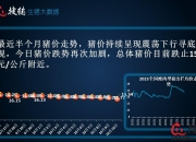 2024年10月10日今日现货生猪价格最新行情一览表