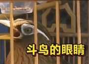 超强高压极化电子枪问世 可将电子从零加速到光速的百分之八十