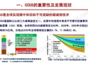 《2024全球碳中和年度进展报告》发布