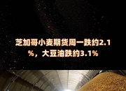 10月18日豆油期货持仓龙虎榜分析：空方进场情绪高涨