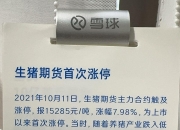 （2024年10月21日）今日苹果期货最新价格查询