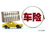 人保车险   品牌优势——快速了解燃油汽车车险,拥有“如意行”驾乘险，出行更顺畅！_中国味精行业政策分析及前景预测: 到2026年有望突破300亿元