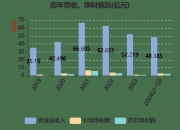 蔚蓝锂芯：公司目前没有进入汽车动力电池领域的计划