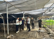 2024年油茶产业现状及未来发展趋势分析_保险有温度,人保伴您前行