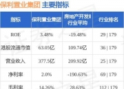 郑州发投集团完成发行10亿元可续期公司债，利率2.4％