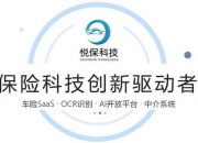 人保财险政银保 ,人保服务_国内越野汽车行业市场竞争格局及发展趋势研究2024