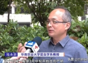 成都网红楼盘开发商，拖欠上千万款项！遭A股公司起诉 ，曾系李嘉诚产业！