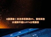 华民股份：部分董事及高管拟合计减持不超55万股公司股份