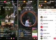社科院经济所课题组报告：直播平台帮助演艺市场规模翻番