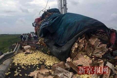 山东一民企科创债遭疯抢 获52倍认购 500亿资金陪跑