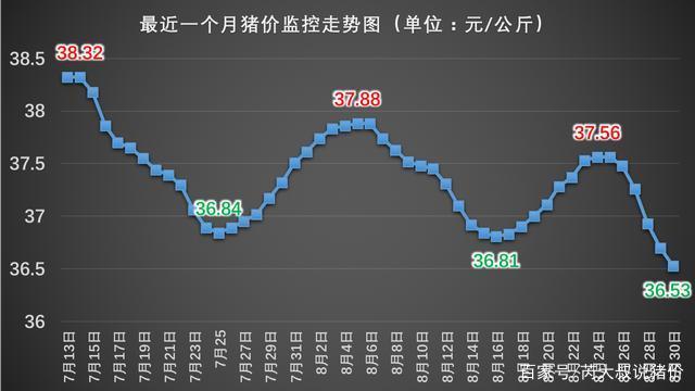 2024年8月2日今日生丝价格最新行情走势