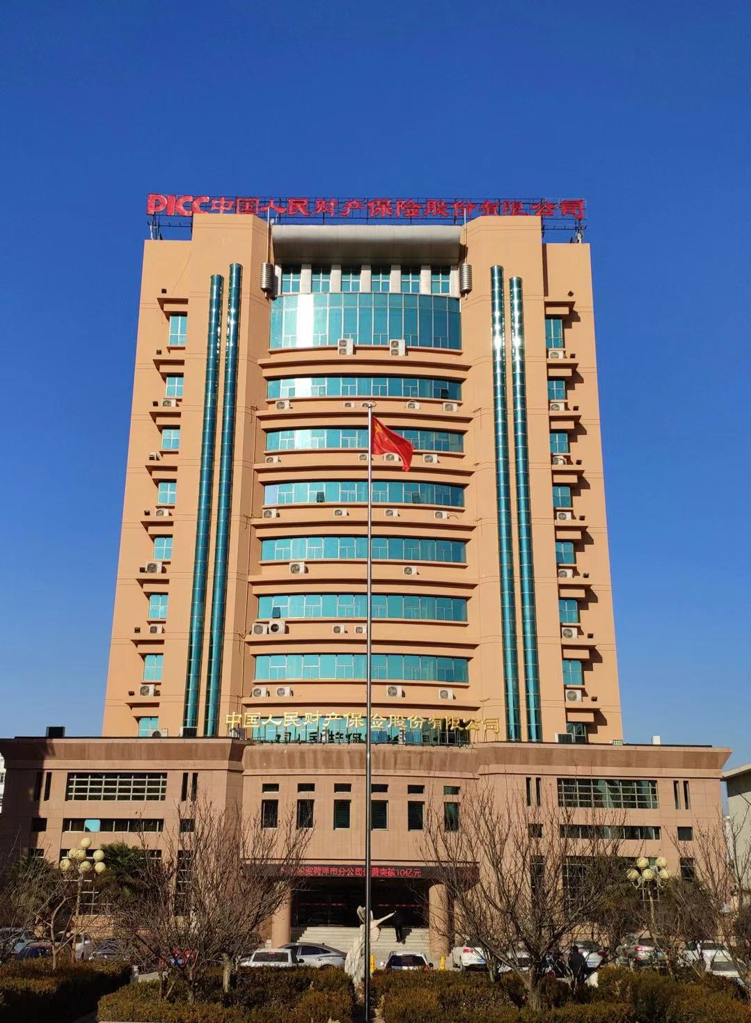 保险有温度,人保财险 _中国椰子行业发展形势分析及椰子深加工产业概述