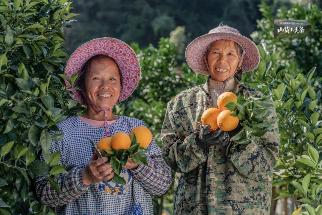 国海证券:维生素景气度加速上行