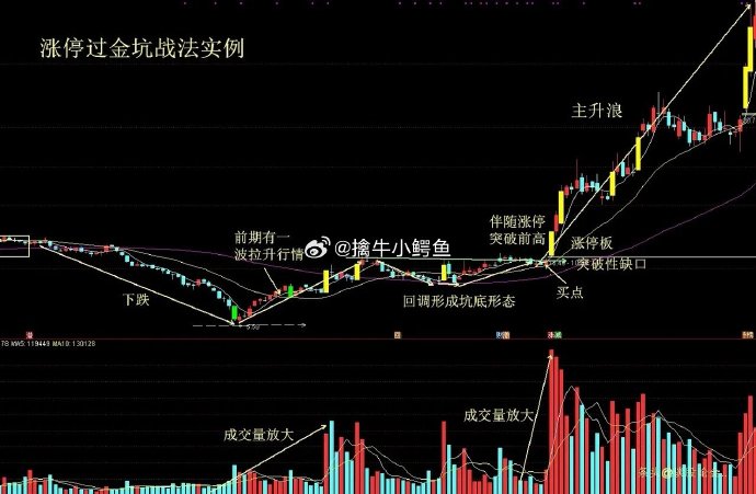 新冠概念强势拉升,透景生命、兰卫医学等涨停,凯普生物等大涨