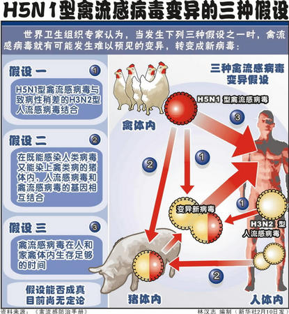 1月6日鲁抗医药涨停分析：禽流感，流感，医药概念热股