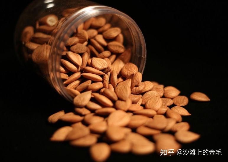 被全省寄予厚望，这座万亿地级市拼了