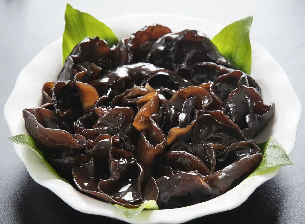迅速响应!洽洽驰援西藏近百万元营养食品物资已发车