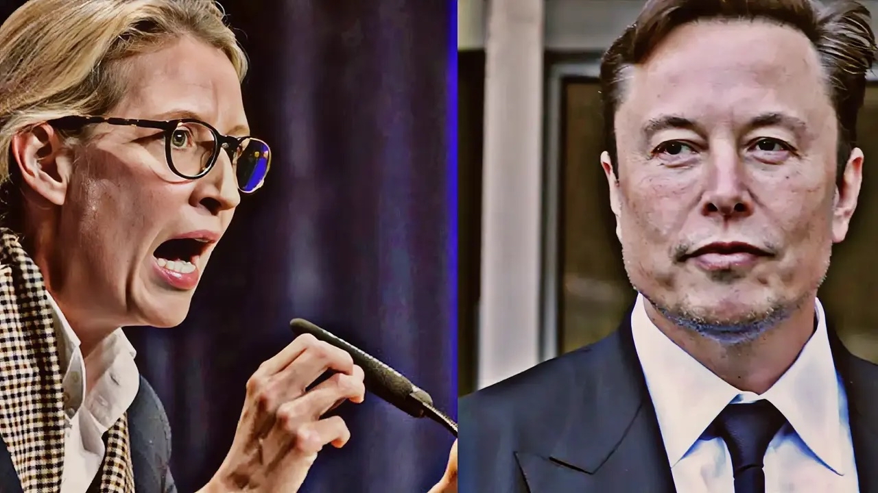 荒谬可笑!马斯克狠批!