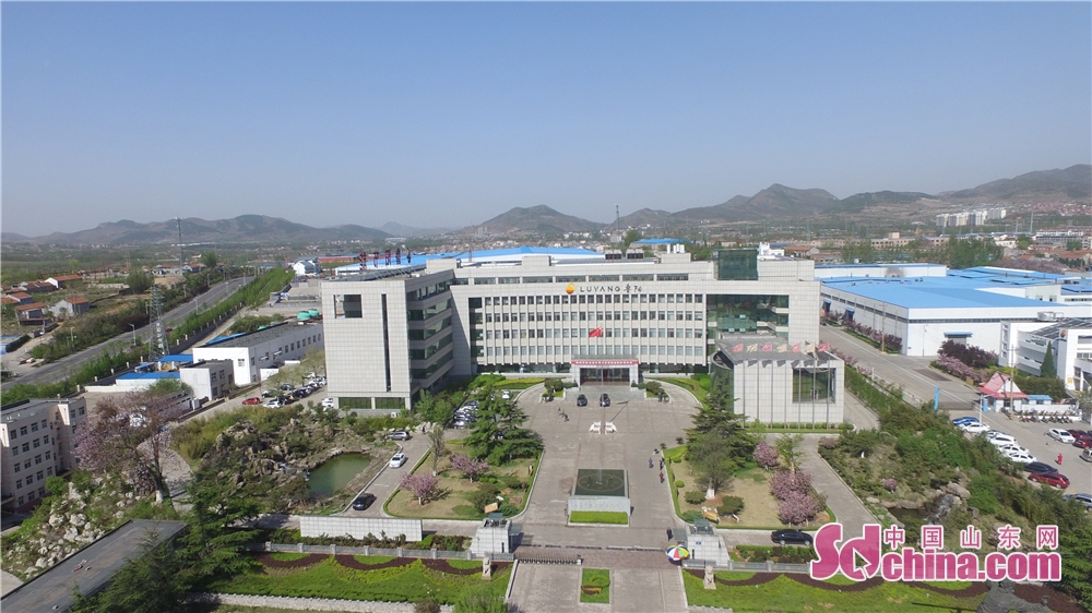 鲁阳节能：公司目前没有在海外建设生产工厂