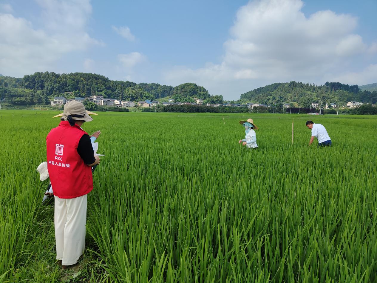 2025年铡草机行业发展前景预测及投资战略研究_保险有温度,人保财险