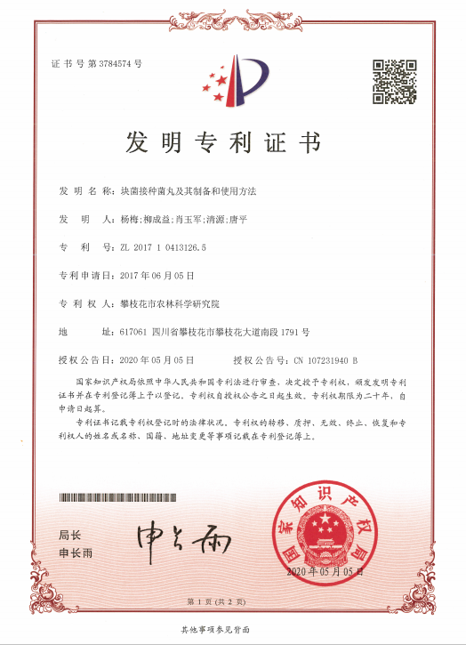 绿联科技获得外观设计专利授权：“转接头（LS502-LS503）”