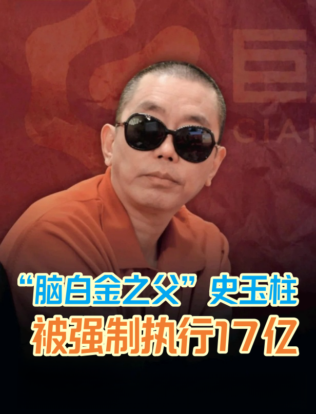 巨人网络董事长史玉柱：征途玩家增速远超收入增速 说明方向对了