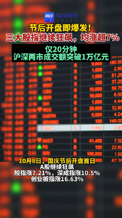松发股份成交额创上市以来新高