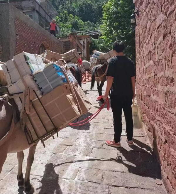 2026-2030年中国腌肉行业：广式、川式、湘式“三足鼎立”下的标准之战_人保财险 ,拥有“如意行”驾乘险，出行更顺畅！