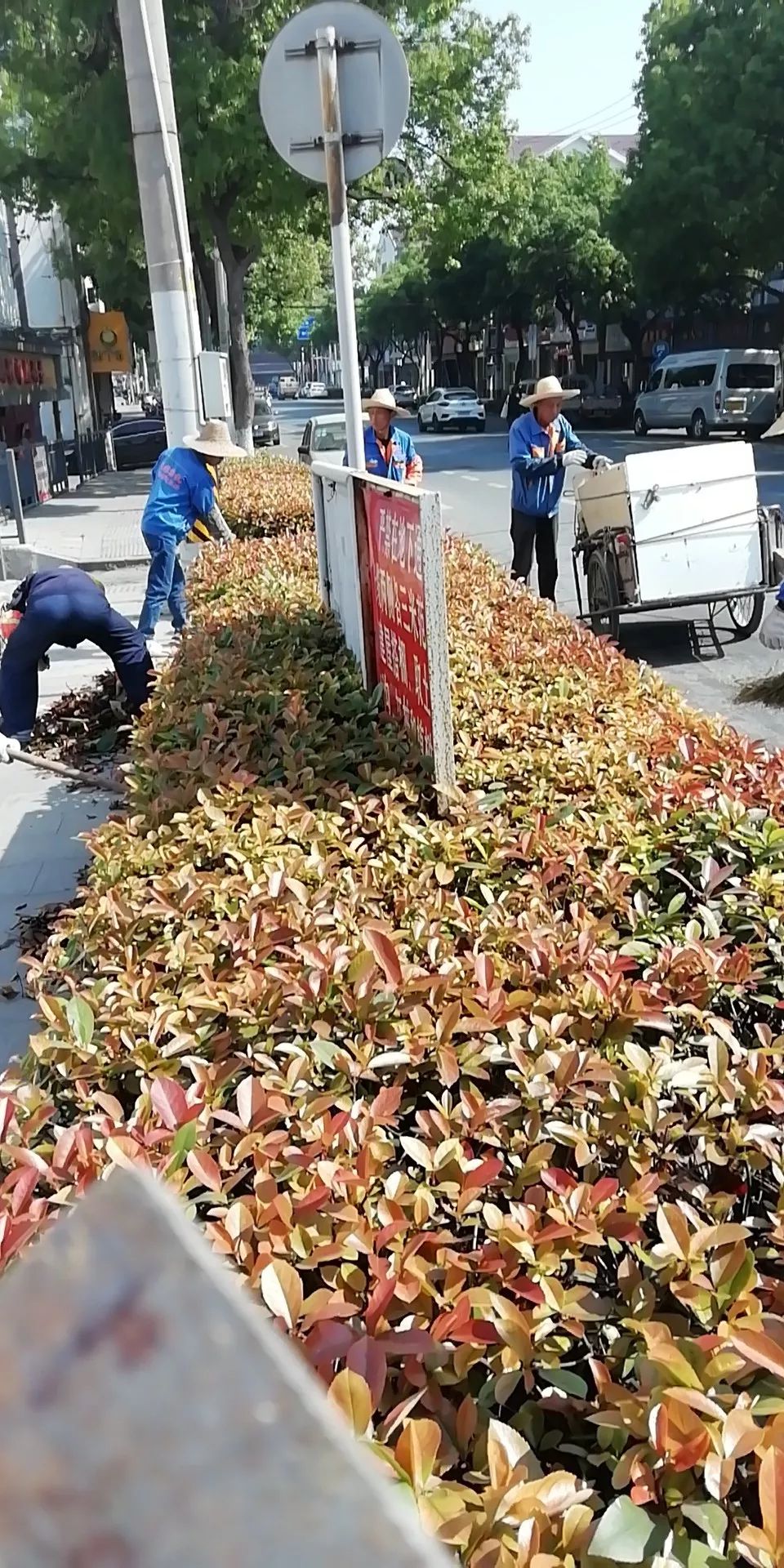 侨银股份:预中标约5397万元环卫保洁一体化服务项目