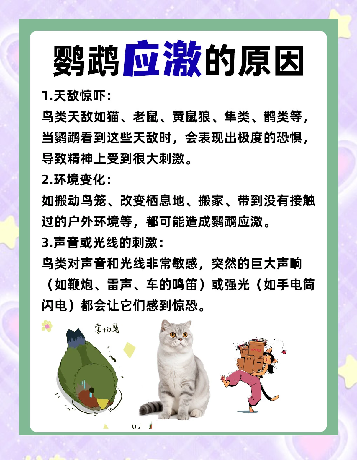 野生鹦鹉会通过社会学习迅速接受未知食物