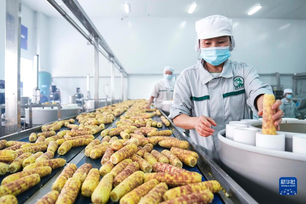 新华鲜报丨持续赋能千行百业 中国卫星导航产业产值超6000亿元