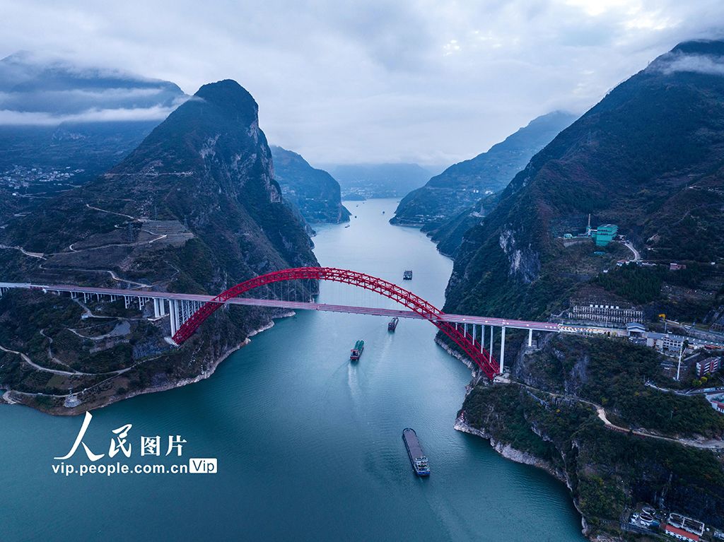 中国三峡集团:三峡库区特有珍稀植物迁地保护成活率超九成