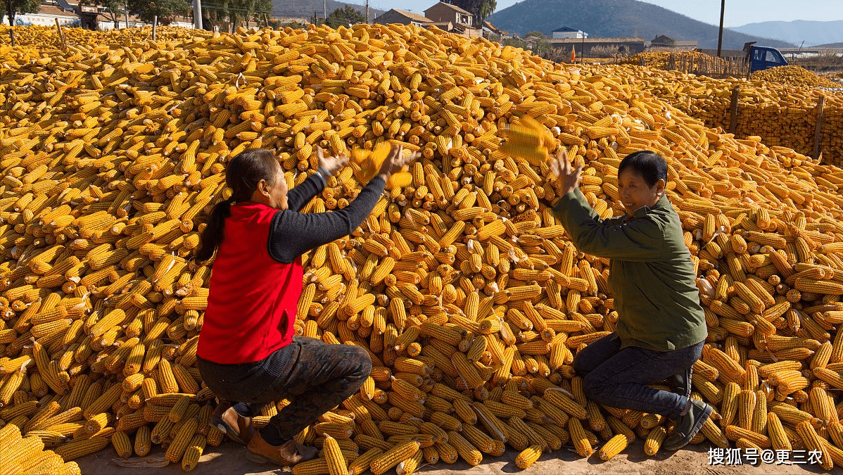 益生股份:预计在需求增加且供给偏紧的局面下 父母代鸡苗价格有望继续上涨