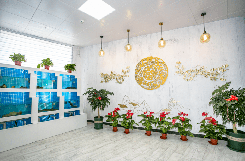 “玩”美新消费丨逛超级工厂、乘空中列车,在科技之城感受创新脉动