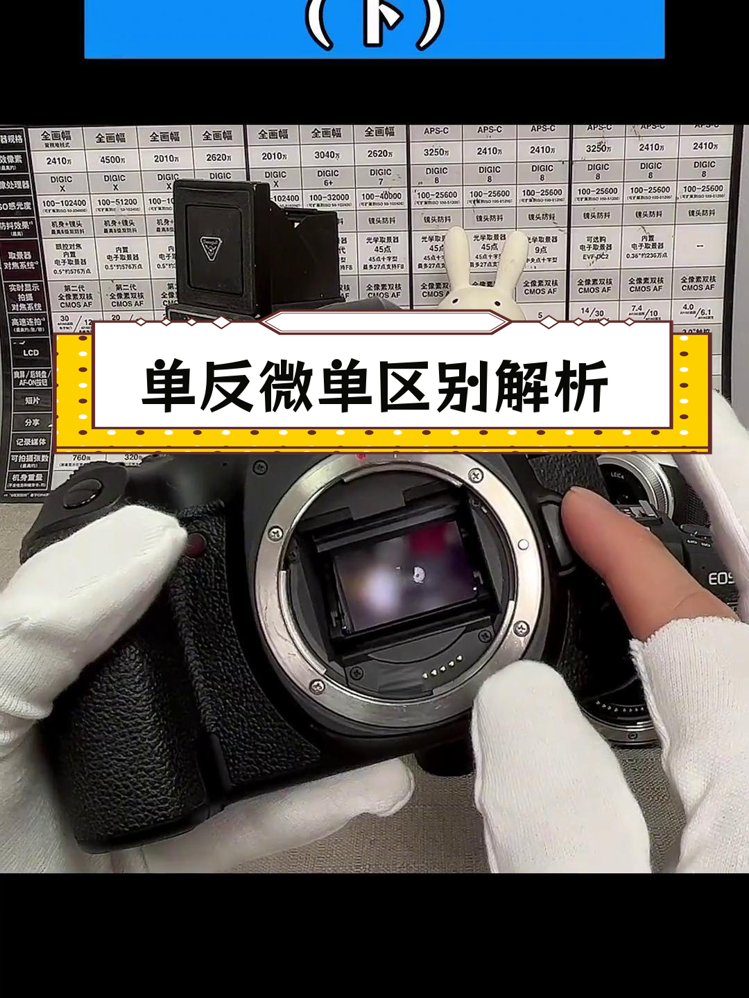 人保财险 ,人保护你周全_2026数码照相机行业市场规模及未来前景调研