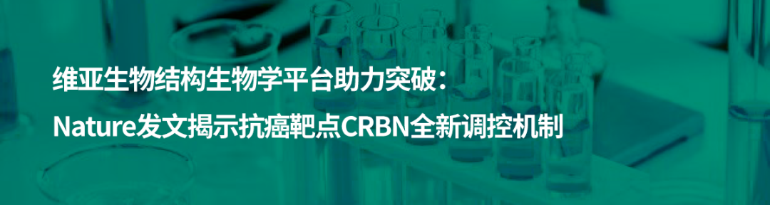 维亚生物(01873.HK)连续3日回购，累计斥资632.85万港元