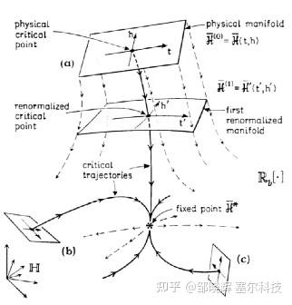 为什么卷积神经网络和Transformer架构不适用于物理AI